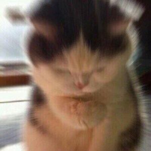 Meet your Posher, Emmanuel